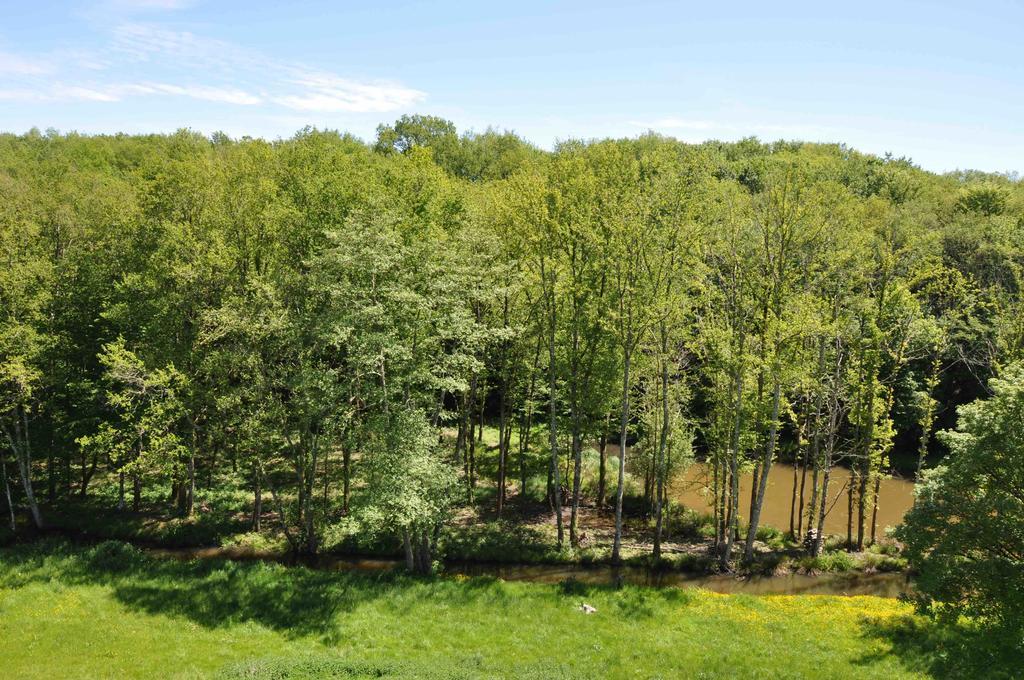 Domaine Du Ris De Feu Chambres D'Hotes De Charme Chalais  ภายนอก รูปภาพ